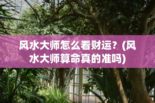 风水大师怎么看财运？(风水大师算命真的准吗)