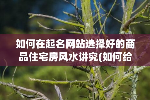 如何在起名网站选择好的商品住宅房风水讲究(如何给网站起名)