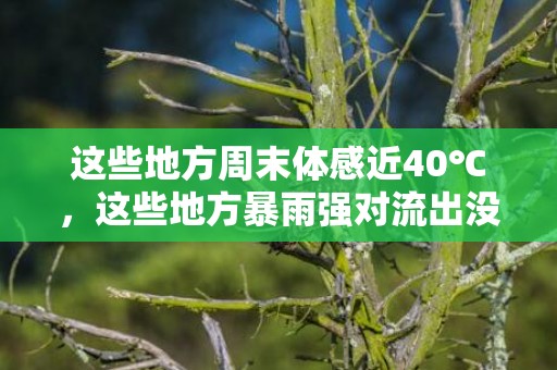 这些地方周末体感近40℃，这些地方暴雨强对流出没