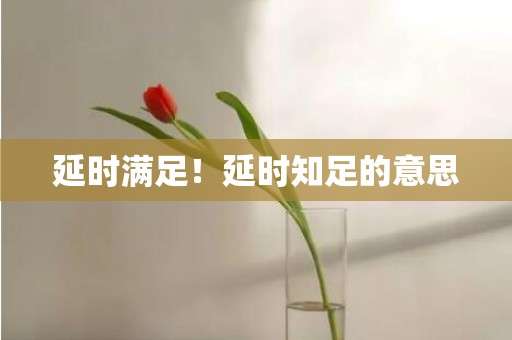 延时满足！延时知足的意思