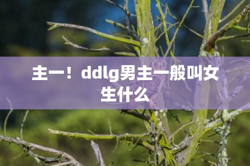 主一！ddlg男主一般叫女生什么