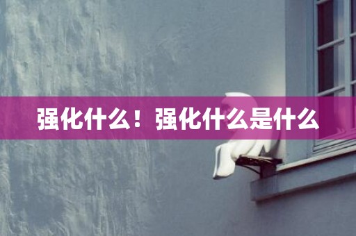 强化什么！强化什么是什么