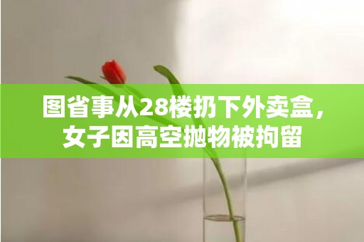 图省事从28楼扔下外卖盒，女子因高空抛物被拘留