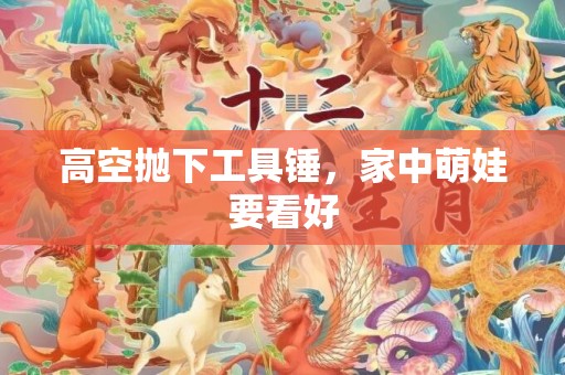 高空抛下工具锤，家中萌娃要看好