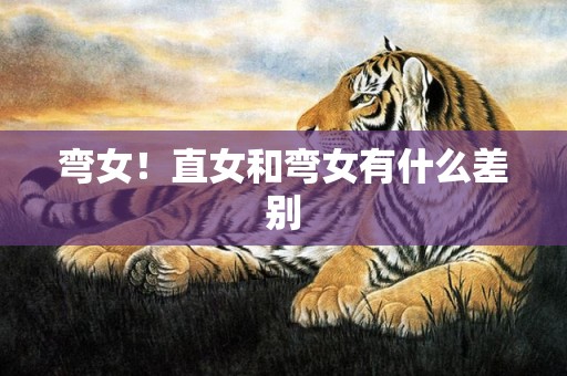 弯女！直女和弯女有什么差别