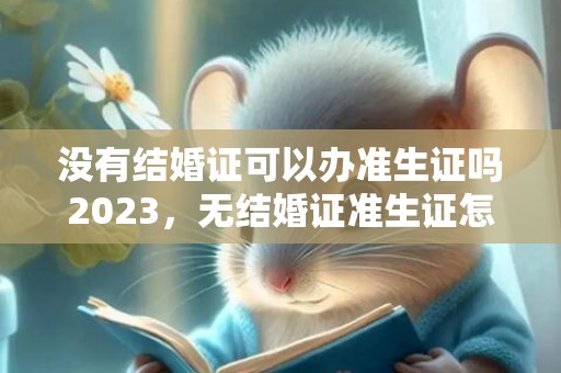 没有结婚证可以办准生证吗2023，无结婚证准生证怎么办理