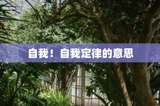 自我！自我定律的意思