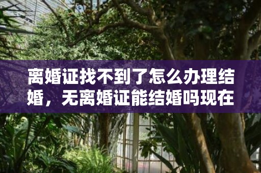 离婚证找不到了怎么办理结婚，无离婚证能结婚吗现在