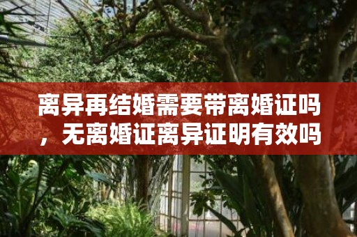 离异再结婚需要带离婚证吗，无离婚证离异证明有效吗