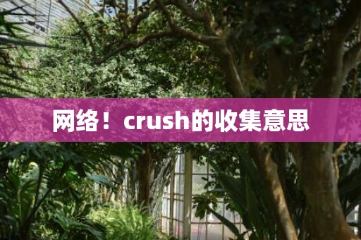 网络！crush的收集意思