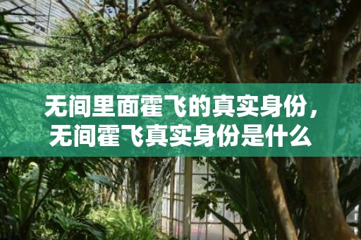 无间里面霍飞的真实身份，无间霍飞真实身份是什么