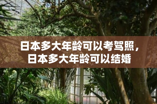 日本多大年龄可以考驾照，日本多大年龄可以结婚