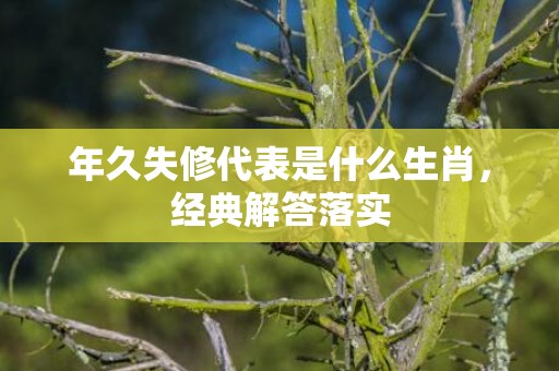 年久失修代表是什么生肖，经典解答落实
