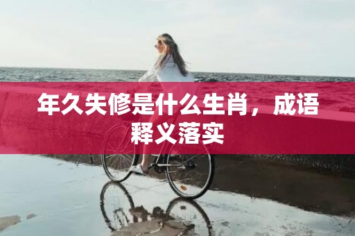 年久失修是什么生肖，成语释义落实