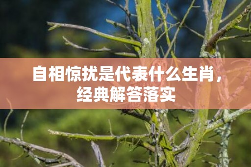 自相惊扰是代表什么生肖，经典解答落实
