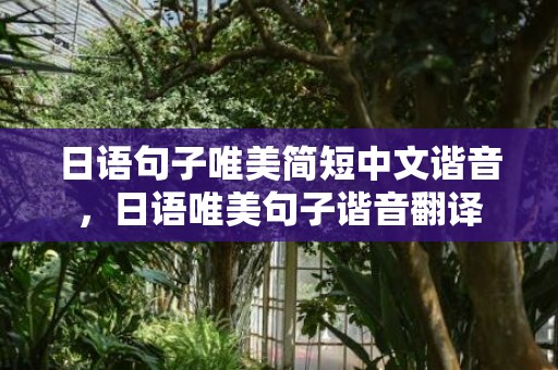 日语句子唯美简短中文谐音，日语唯美句子谐音翻译