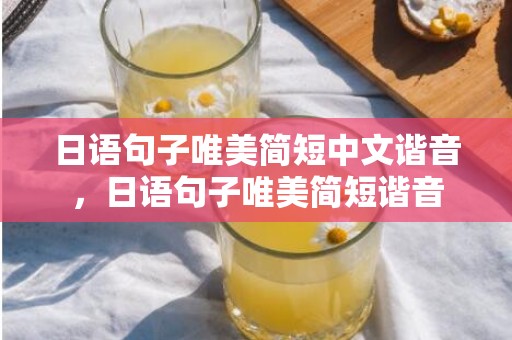 日语句子唯美简短中文谐音，日语句子唯美简短谐音