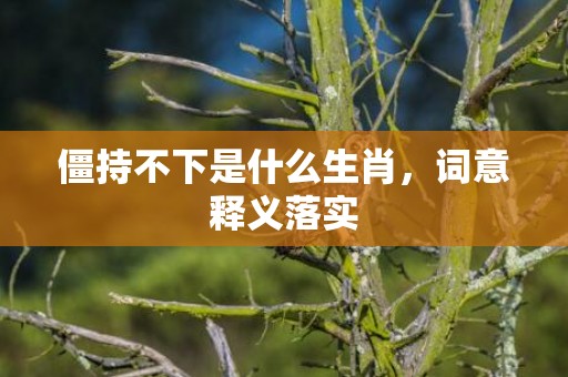僵持不下是什么生肖，词意释义落实