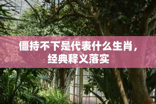 僵持不下是代表什么生肖，经典释义落实