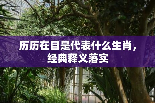 历历在目是代表什么生肖，经典释义落实