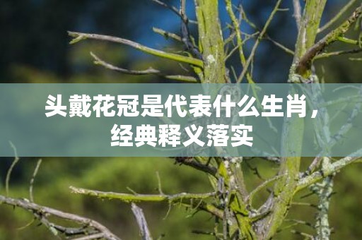 头戴花冠是代表什么生肖，经典释义落实