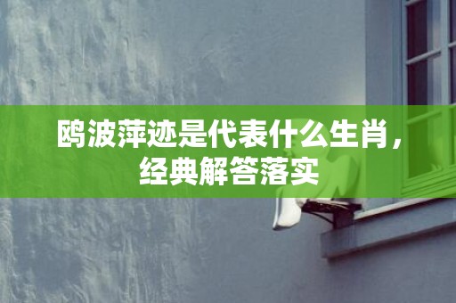 鸥波萍迹是代表什么生肖，经典解答落实
