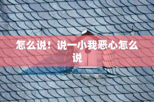 怎么说！说一小我恶心怎么说