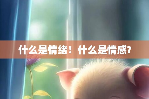 什么是情绪！什么是情感?