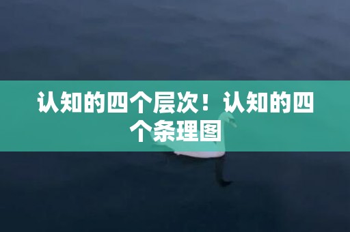 认知的四个层次！认知的四个条理图