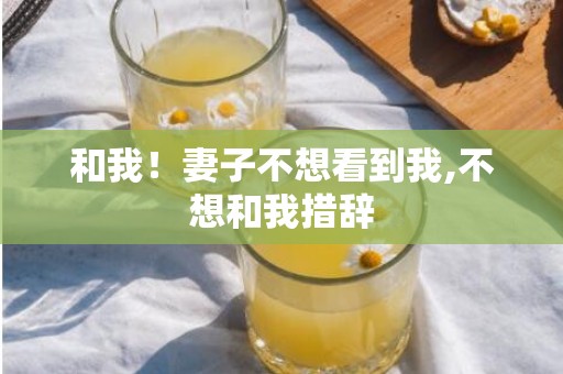 和我！妻子不想看到我,不想和我措辞