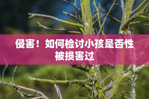 侵害！如何检讨小孩是否性被损害过