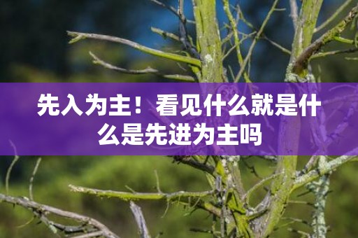 先入为主！看见什么就是什么是先进为主吗