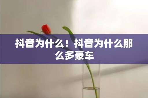 抖音为什么！抖音为什么那么多豪车