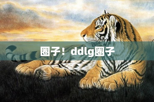 圈子！ddlg圈子