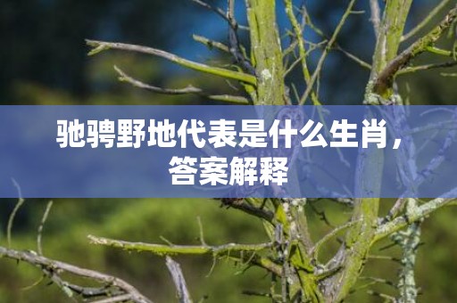 驰骋野地代表是什么生肖，答案解释