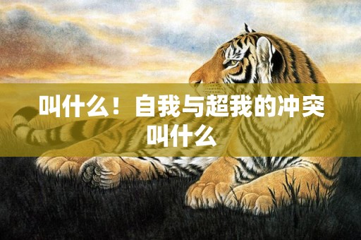 叫什么！自我与超我的冲突叫什么