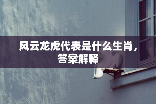 风云龙虎代表是什么生肖，答案解释