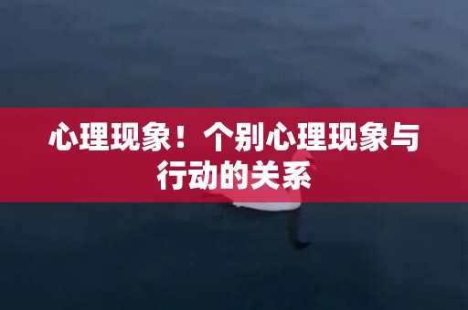 心理现象！个别心理现象与行动的关系