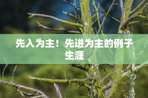 先入为主！先进为主的例子生涯