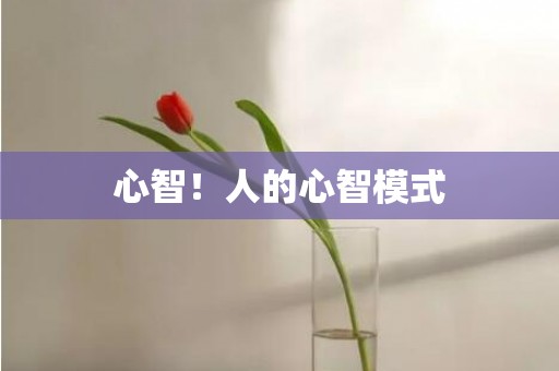 心智！人的心智模式