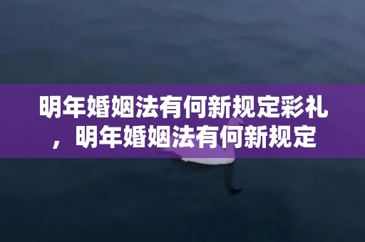明年婚姻法有何新规定彩礼，明年婚姻法有何新规定