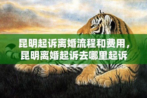 昆明起诉离婚流程和费用，昆明离婚起诉去哪里起诉
