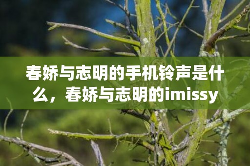 春娇与志明的手机铃声是什么，春娇与志明的imissyou