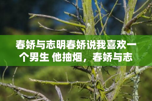 春娇与志明春娇说我喜欢一个男生 他抽烟，春娇与志明春娇说的话
