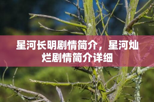 星河长明剧情简介，星河灿烂剧情简介详细