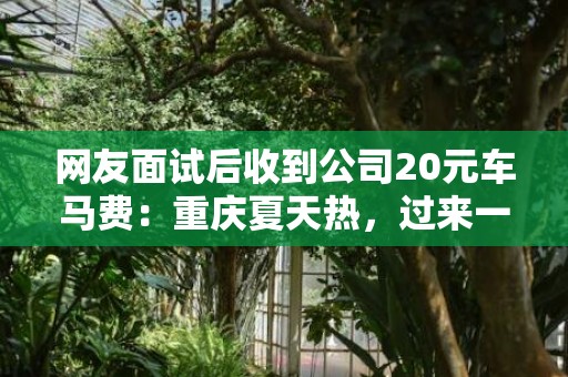 网友面试后收到公司20元车马费：重庆夏天热，过来一趟不近比较费时间