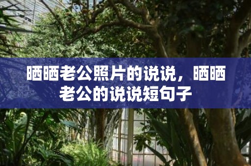 晒晒老公照片的说说，晒晒老公的说说短句子