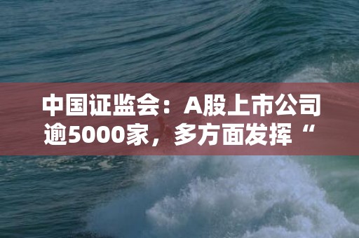 中国证监会：A股上市公司逾5000家，多方面发挥“压舱石”作用