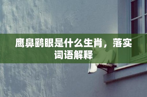 鹰鼻鹞眼是什么生肖，落实词语解释