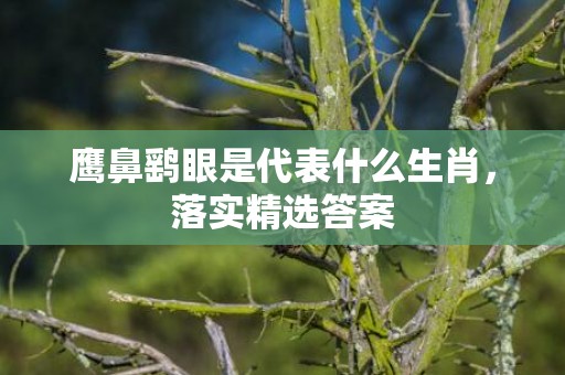 鹰鼻鹞眼是代表什么生肖，落实精选答案